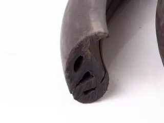 MTZ gumiprofil panorámás (0)