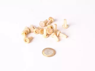 MTZ tápszivattyú szelep (0)