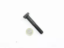 Claas hatlapfejű csavar