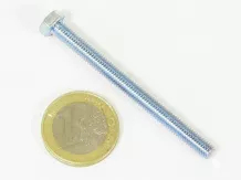 csavar M5x60 hatlapfejű