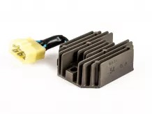 Force 210 Ex feszültségszabályzó